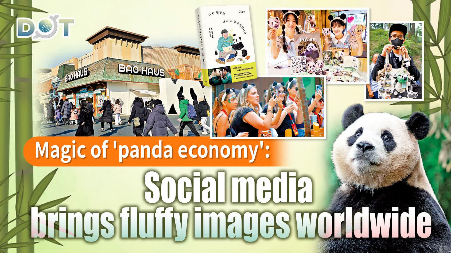 Magic of panda economy Social media brings fluffy images  