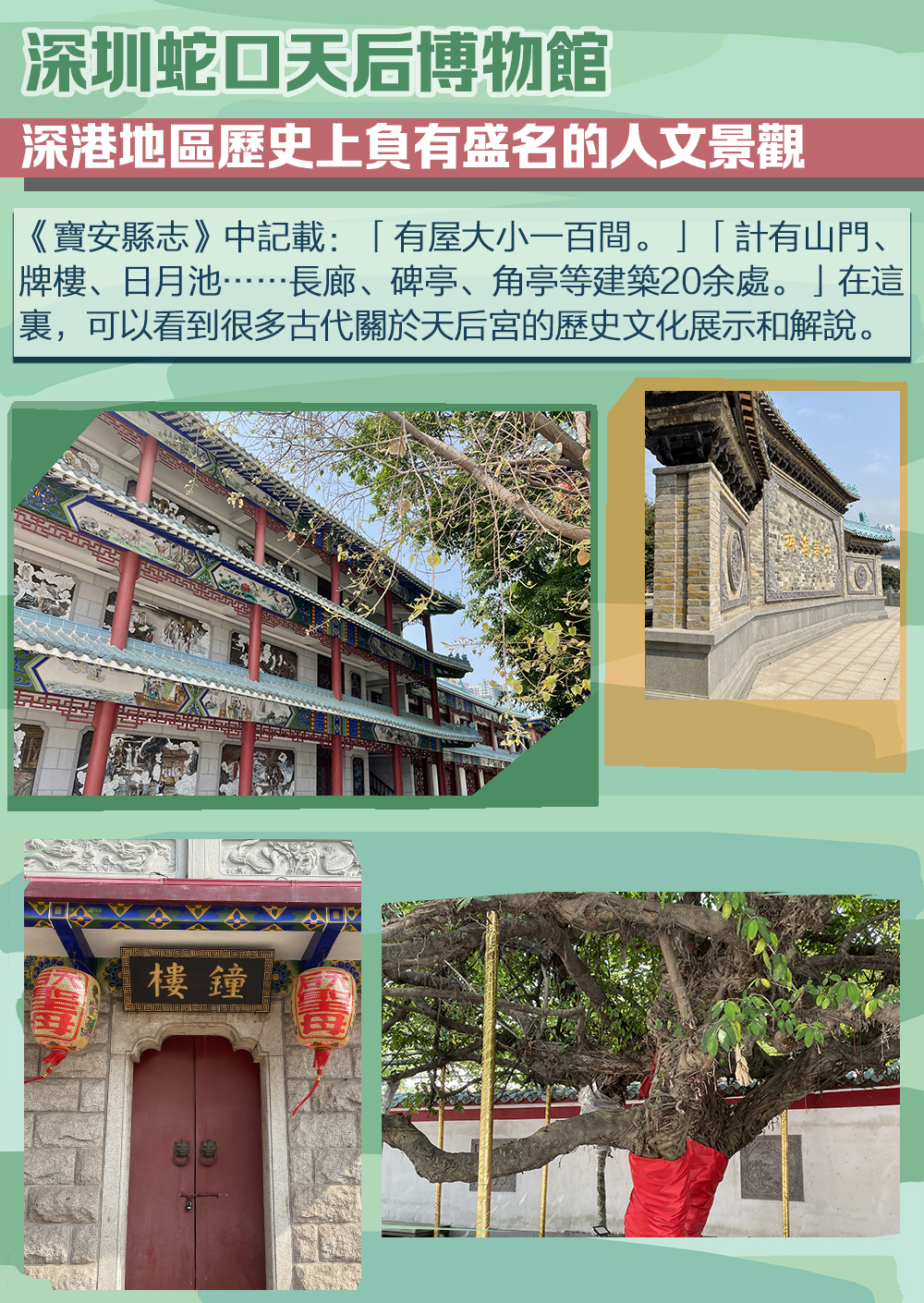 漫遊大灣區 深圳蛇口天后博物館 生活 點新聞