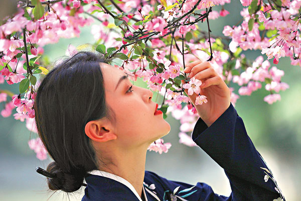 恒大清思 彌補曹雪芹遺憾海棠也有香味 教育 香港文匯網