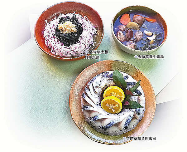 補血菜 金時草紫菜葉含花青素抗氧化 副刊 香港文匯網