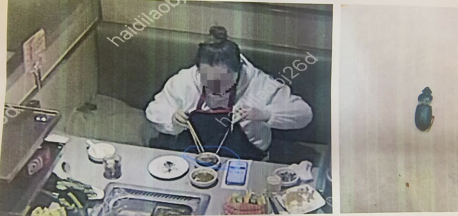 女子將死蟲放進調料碗，數次敲詐海底撈！北京西城法院宣判- 神州- 香港文匯網