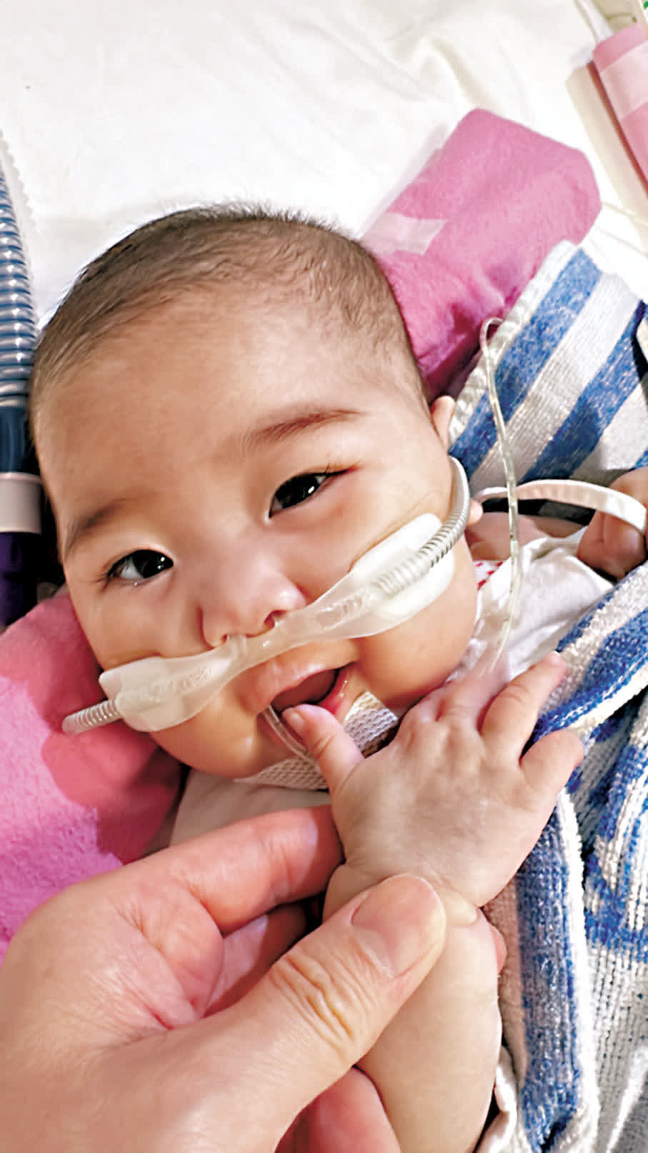 女嬰祈祈成功換心｜第二例內地心臟2小時運抵港6小時成功植入怦怦跳動- 香港- 香港文匯網